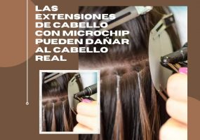 ¿Qué son las extensiones con microchip?