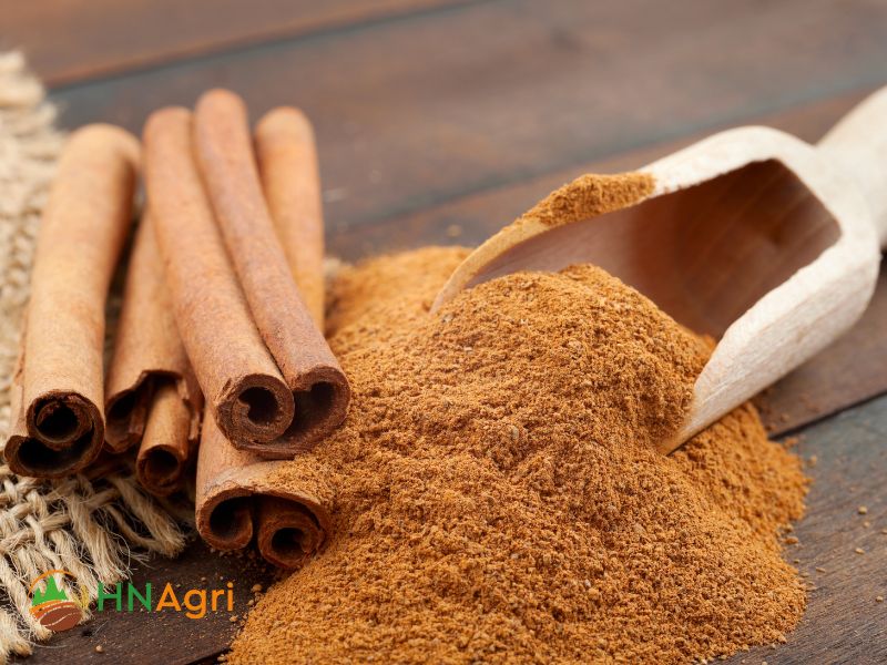 introducing-hanoi-cinnamon-exporter-of-authentic-vietnamese-spice-1