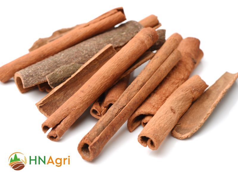 introducing-hanoi-cinnamon-exporter-of-authentic-vietnamese-spice-2