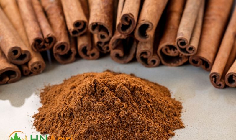 cassia-vs-ceylon-cinnamon-unraveling-the-spicy-showdown-1