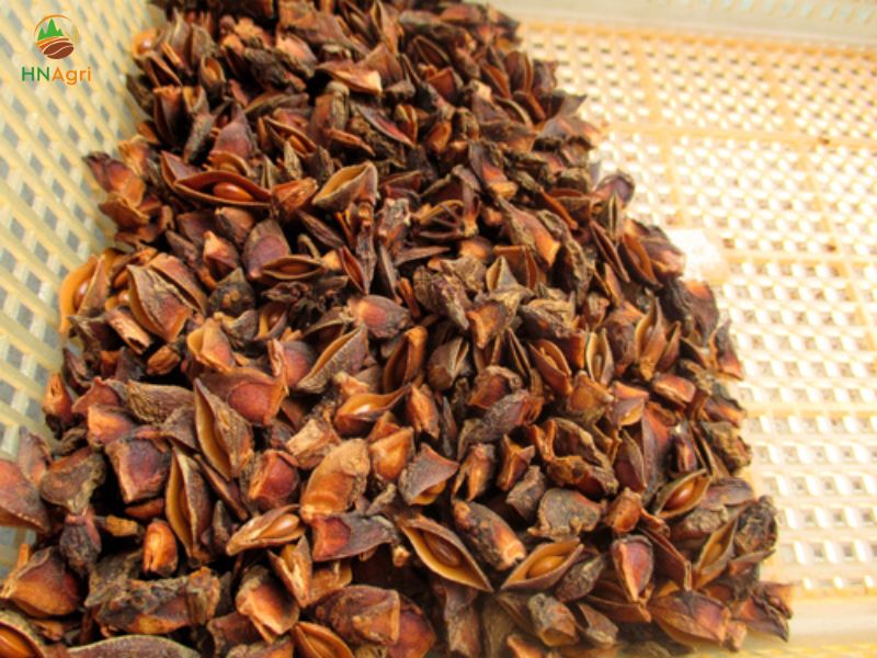 star-anise-price