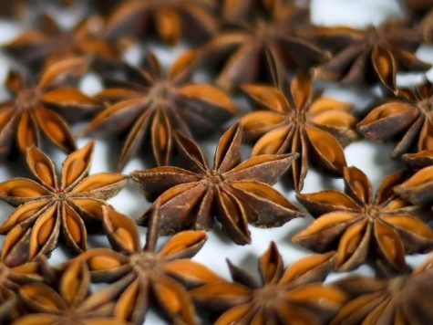 whole-star-anise-2