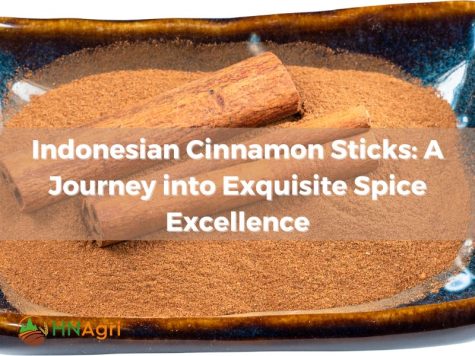 Indonesian-Cinnamon-Sticks-A-Journey-into-Exquisite-Spice-Excellence-1